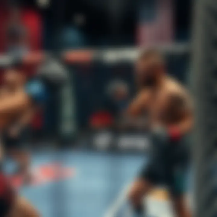 MMA 토토사이트에 대한 종합 가이드 Summary