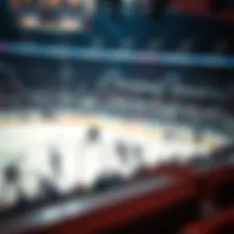 Overview of NHL betting platforms