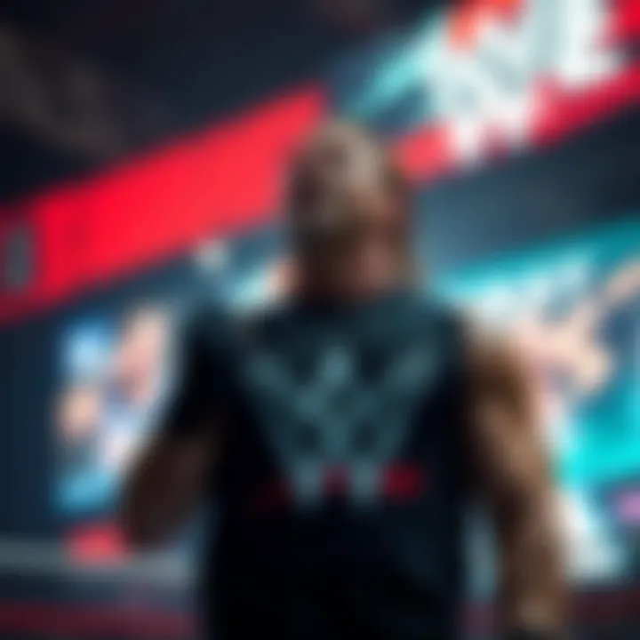 WWE 베팅의 모든 것 Summary